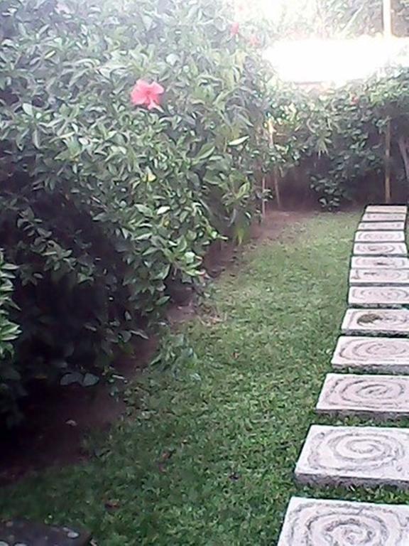 Bali Sari Homestay آميدْ المظهر الخارجي الصورة