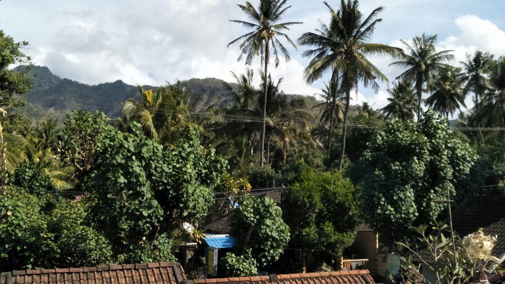 Bali Sari Homestay آميدْ المظهر الخارجي الصورة